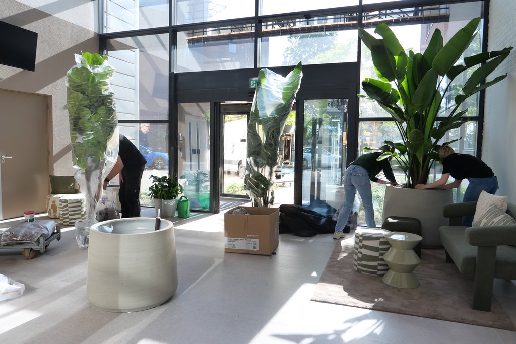 Luna: furniture and greenery move into the finished entrance