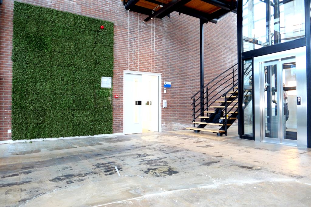 Luna: entrance and facade repair begins